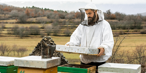 President Appointed First Handler Board Member To National Honey Board